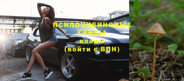 дмт Медвежьегорск